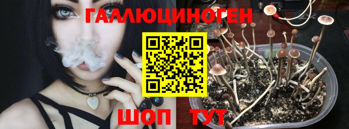 Псилоцибиновые грибы ЛСД  сколько стоит  Нижнекамск  Вход с VPN  Галлюциногенные грибы Psilocybine cubensis 